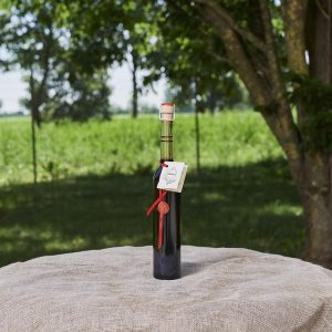 Condimento Alimentare Nastro 100ml